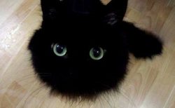 不登校になっても大丈夫！本当は頭いい？親の対応＆解決策＆その後