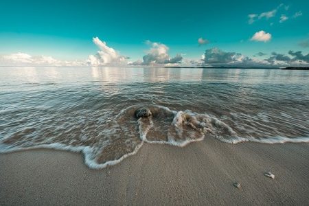 下から上は見えない、彼らからは　新しい地球は見えないらしい